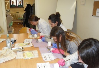 Uczennice podczas kursu z zakresu periodontologii